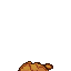 Stage 5